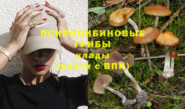 СК Абдулино